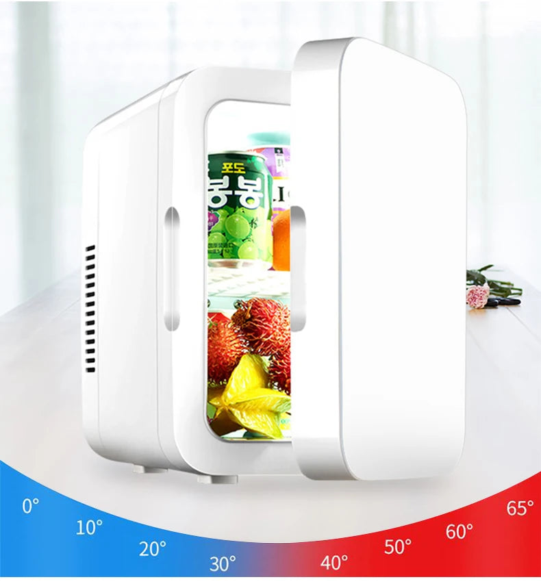 Mini Portable Refrigerator