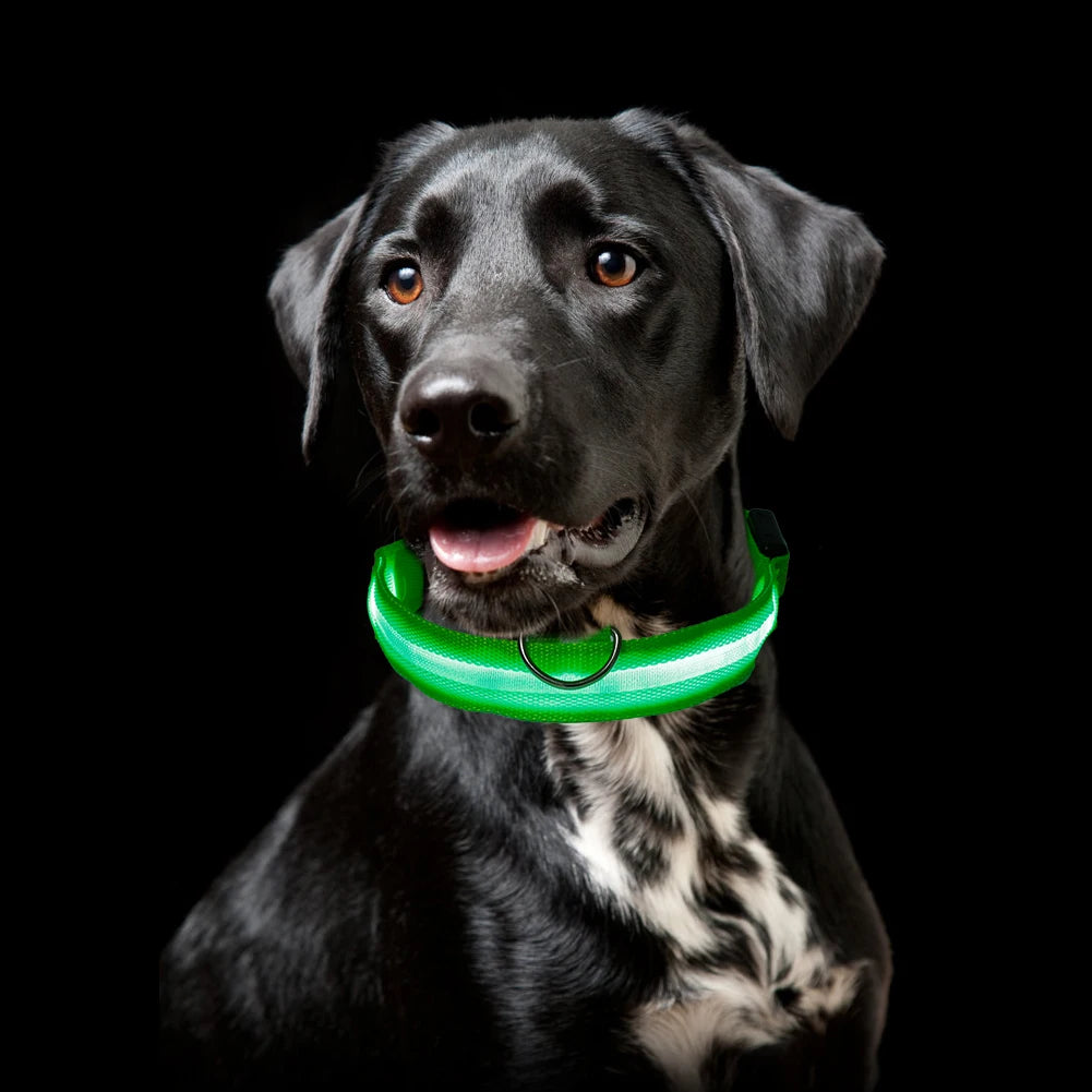 LED Glowing Dog Collar