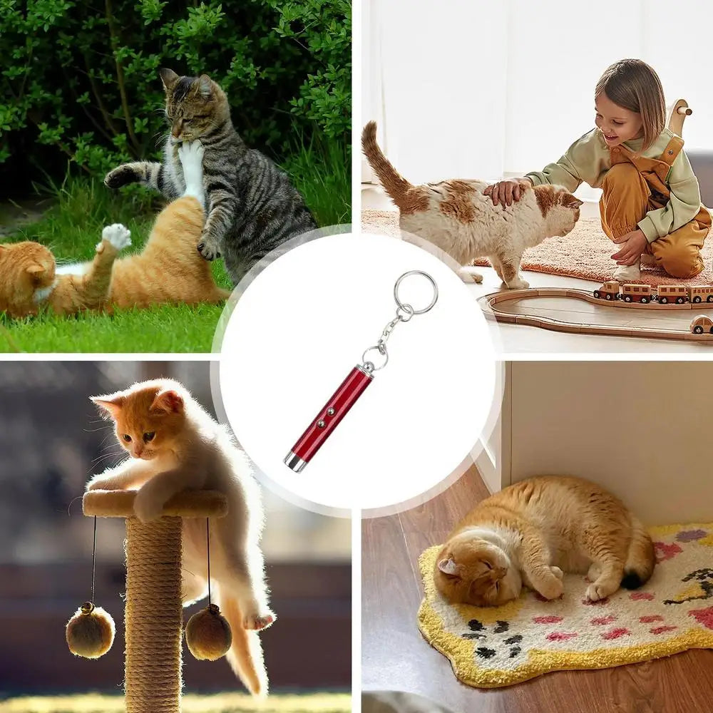 Interactive Cats Laser Pointer