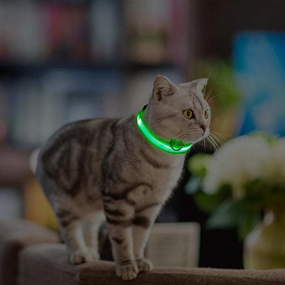 LED Glowing Dog Collar