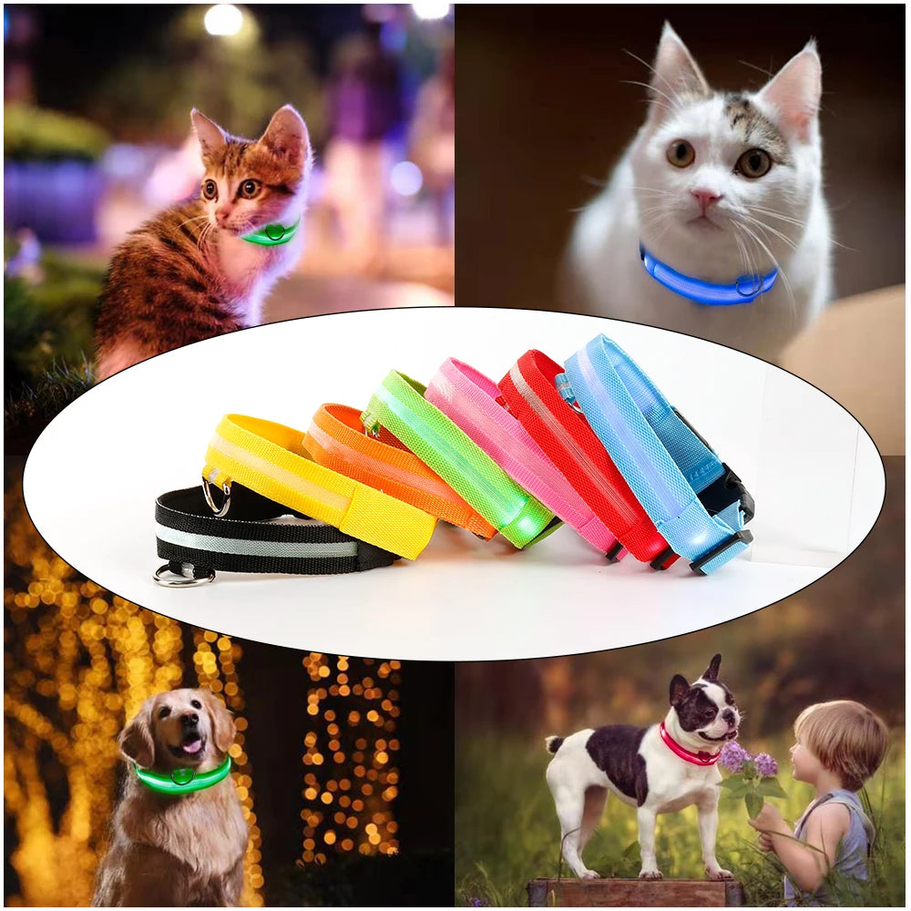 LED Glowing Dog Collar