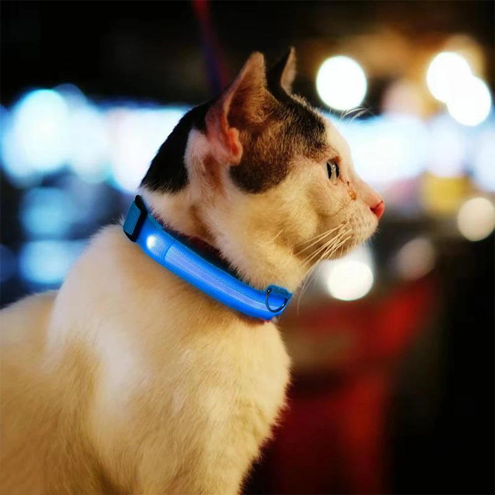 LED Glowing Dog Collar