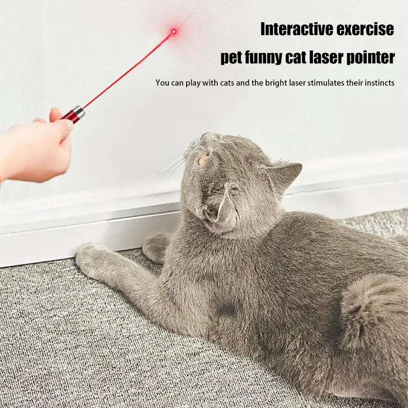 Interactive Cats Laser Pointer