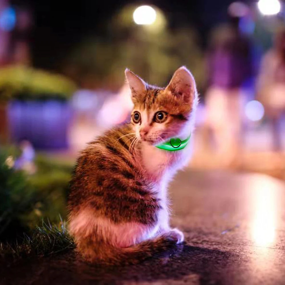 LED Glowing Dog Collar