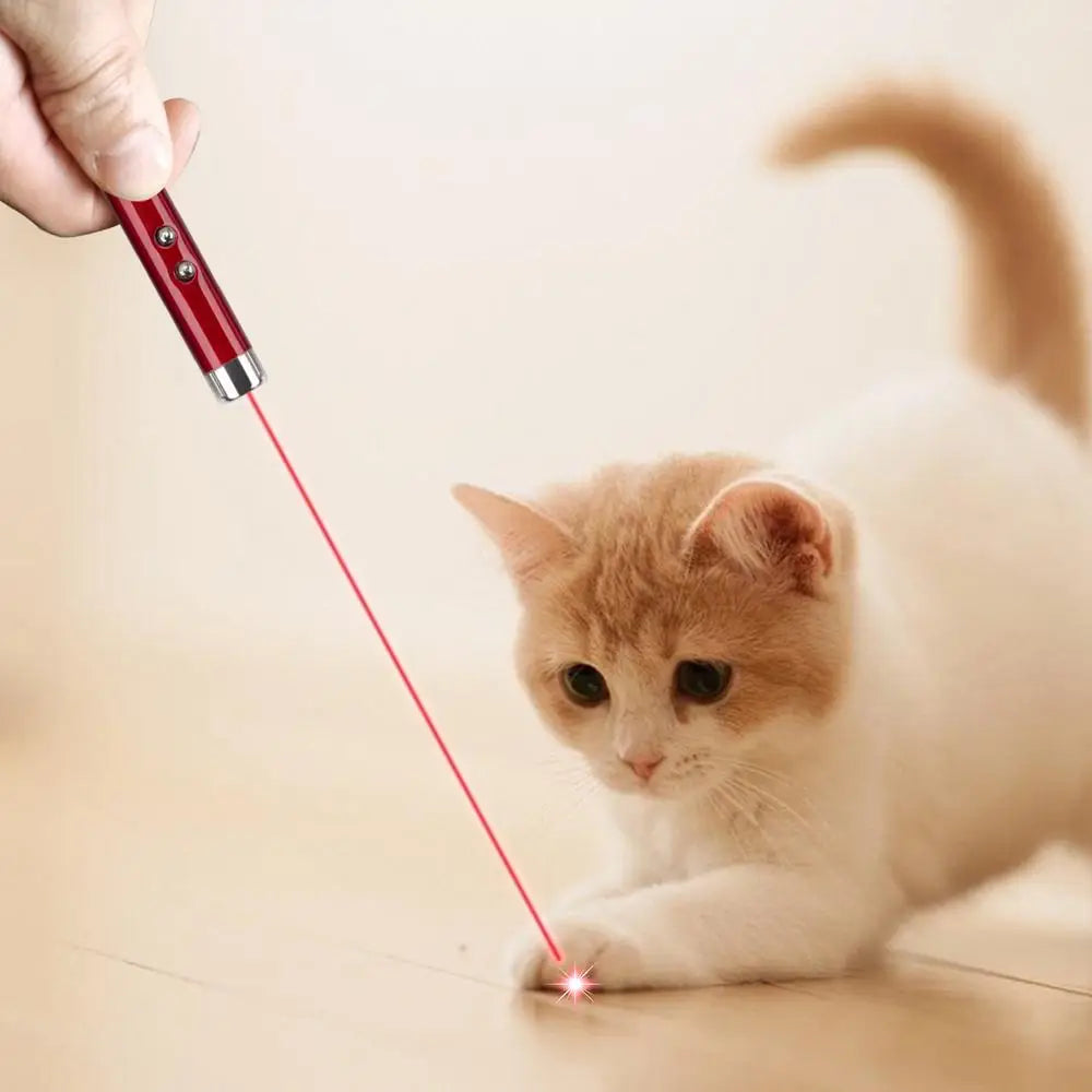 Interactive Cats Laser Pointer