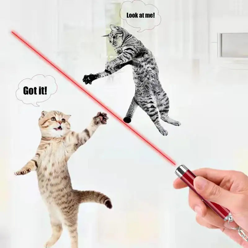 Interactive Cats Laser Pointer