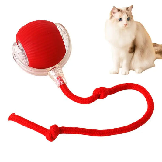 Interactive Cat Auto Ball