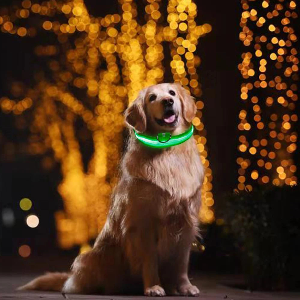 LED Glowing Dog Collar