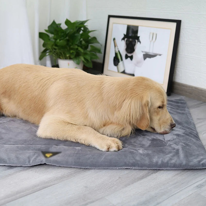 Self Heating Pet Pads