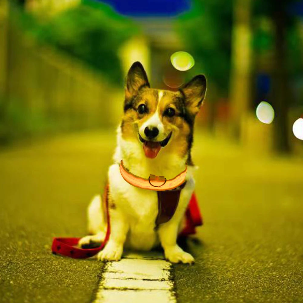 LED Glowing Dog Collar